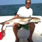 Ponce Inlet Cobia